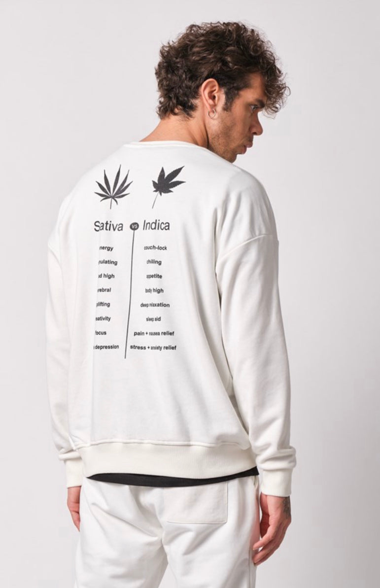 Oversize Sativa Or Indica