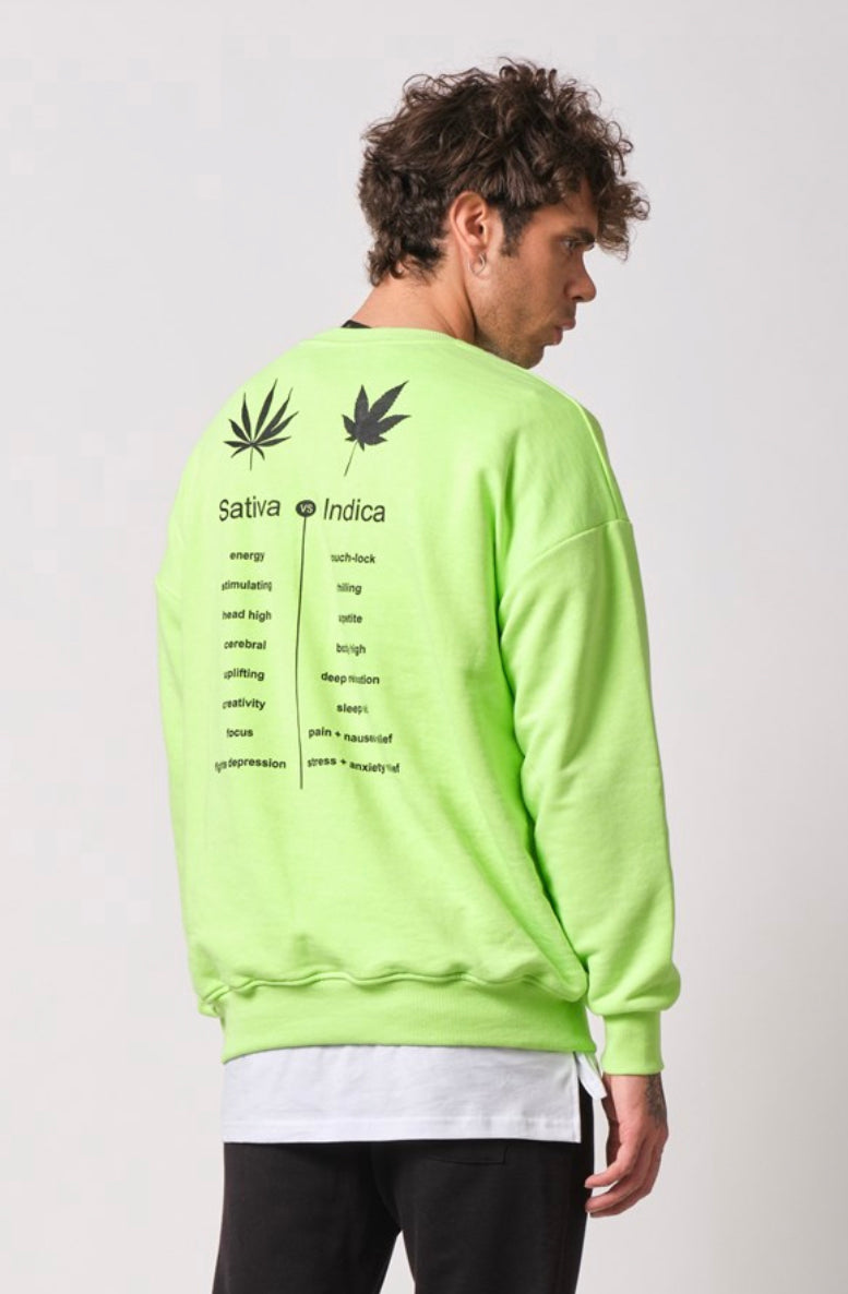 Oversize Sativa Or Indica